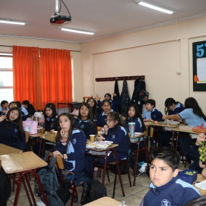 Día de la Actividad Física